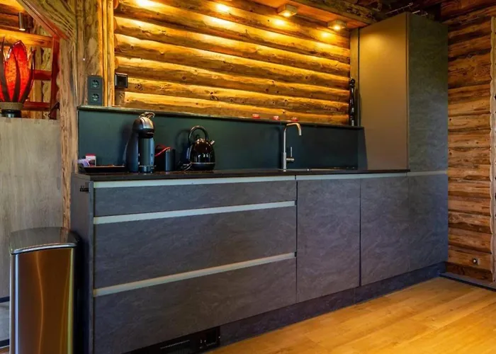 Spacious Wooden With Covered Terrace Baarle-Nassau